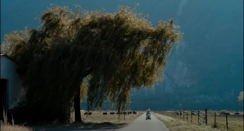 ACID/Festival de Cannes : bilan