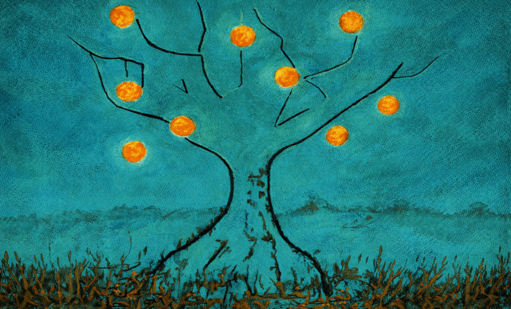 Alif, la langue arabe comme vecteur de cohésion et d’émancipation.