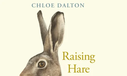 C’est l’histoire d’un lièvre qui a changé le confinement (et la vie) d’une politicienne