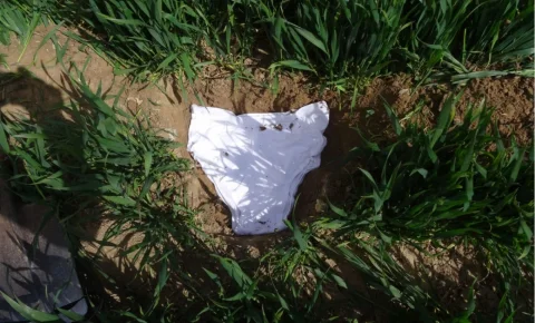 Enterrez vos slips, c’est bon pour la planète !