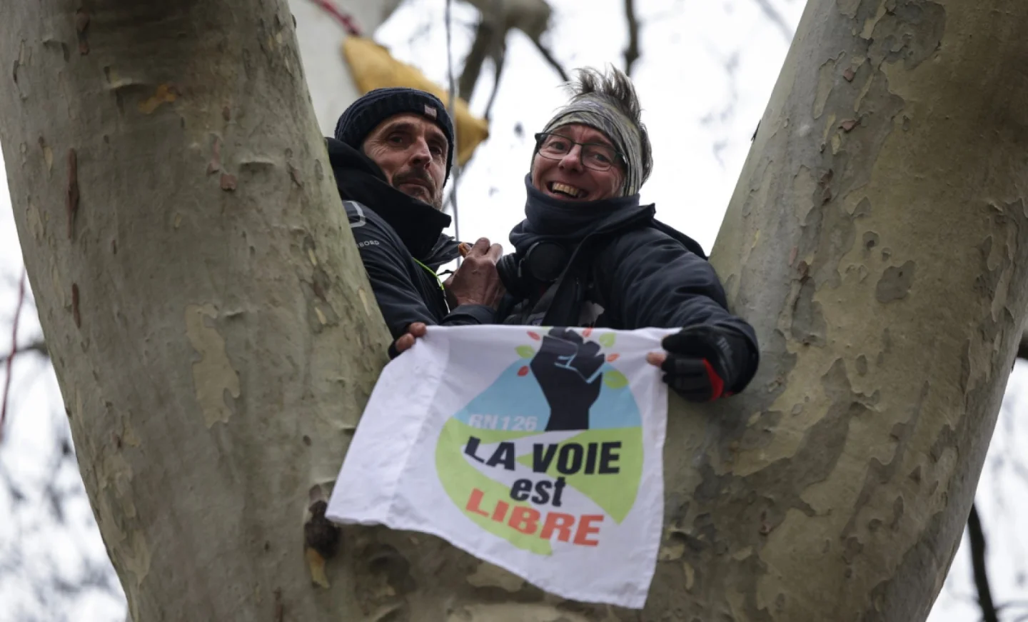 Grimper aux arbres, ça fait longtemps que c’est une action politique