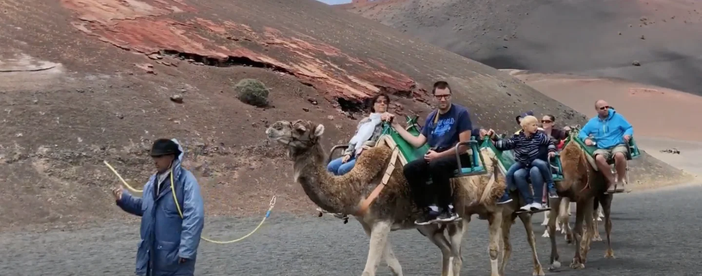 Lanzarote : « Les vacances de Monsieur Houellebecq »