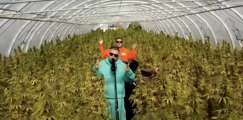 Monter aux arbres avec O.B.F. Soundsystem