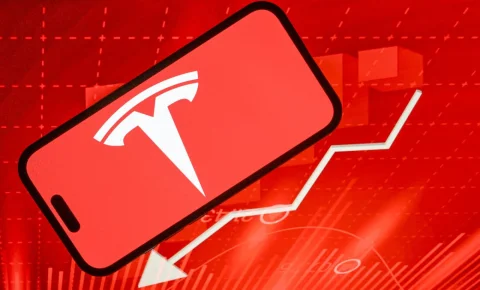 Tesla : 10 français défient l’homme le plus riche au monde