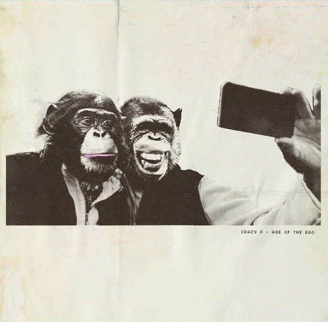 The Witness (Medlar Remix) [Walk Don't Walk Limited]