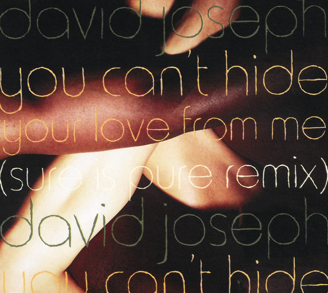 YOU CAN'T HIDE (YOUR LOVE FROM ME)