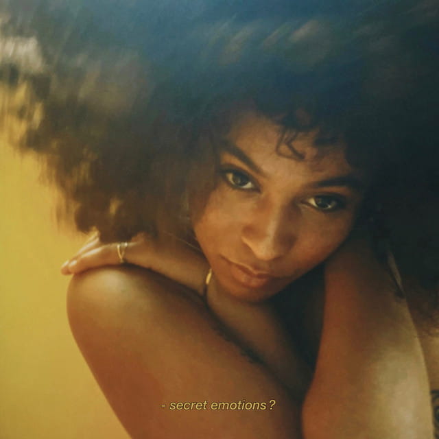 SECRET EMOTION