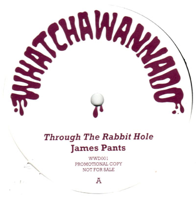 THROUGH THE RABBIT HOLE