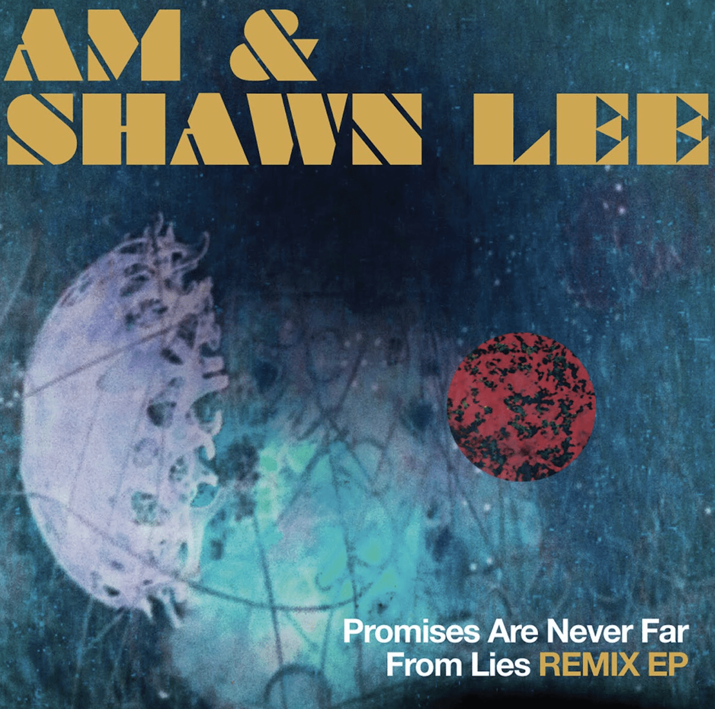 PROMISES ARE NEVER FAR FROM LIES