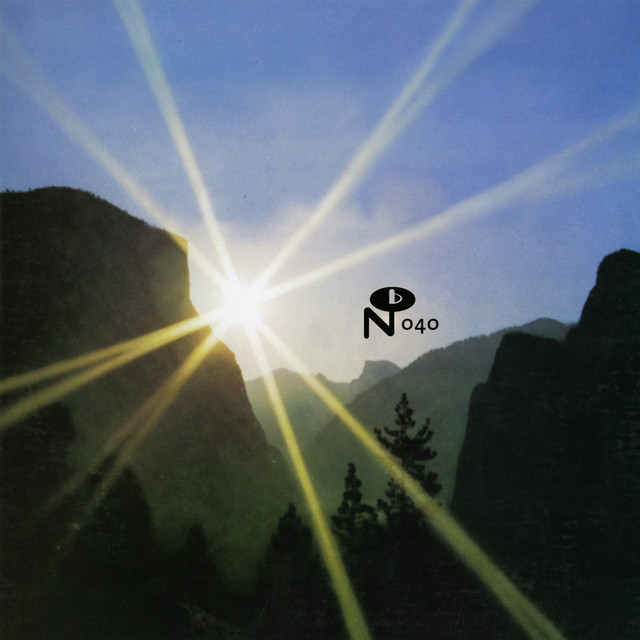 POOR WAYFERING STRANGER